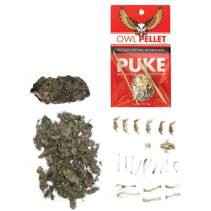 Owl Pellet | Compact Curiosities Dissection Kit