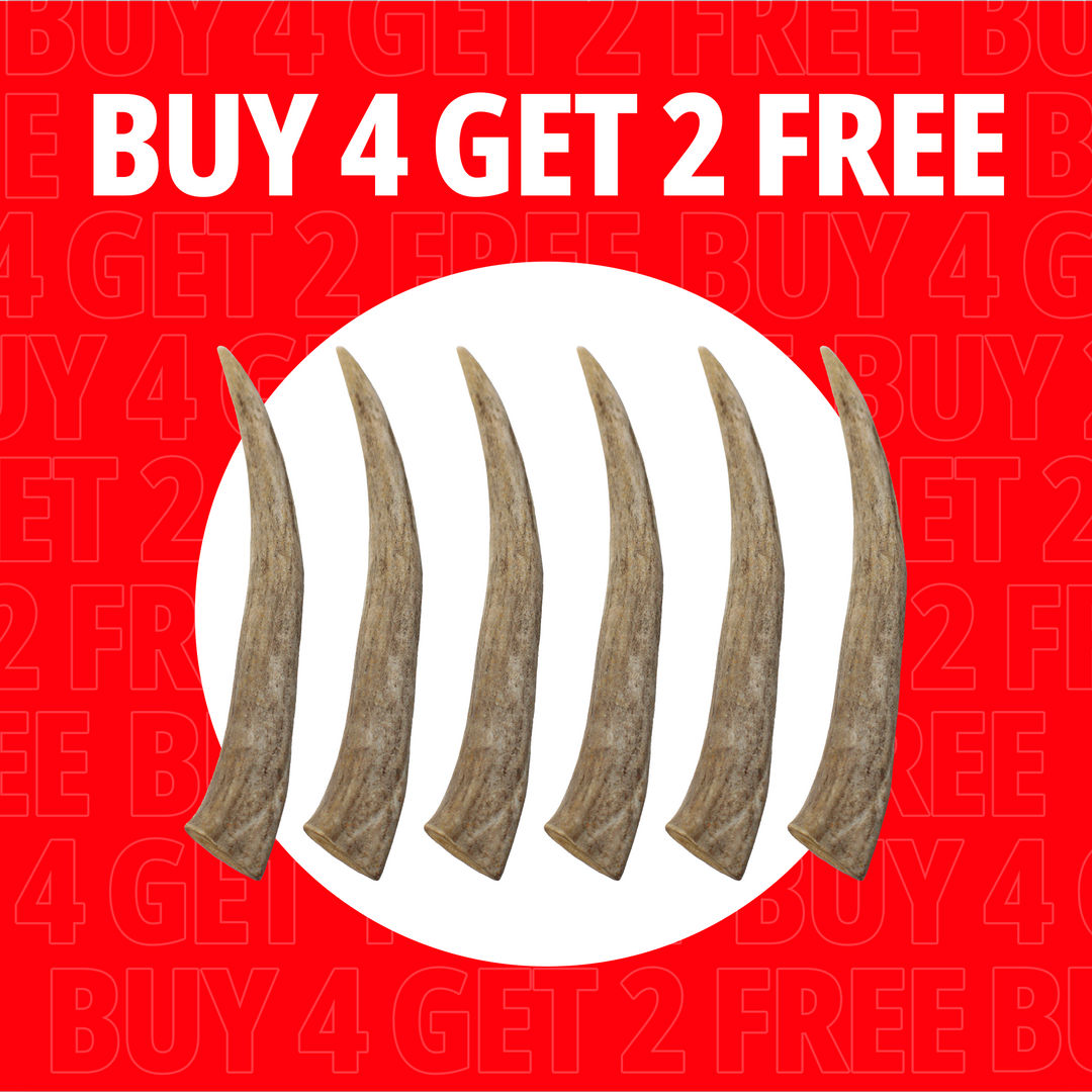 Large Antlers