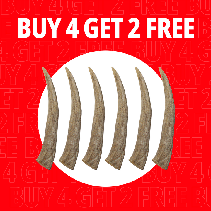Large Antlers