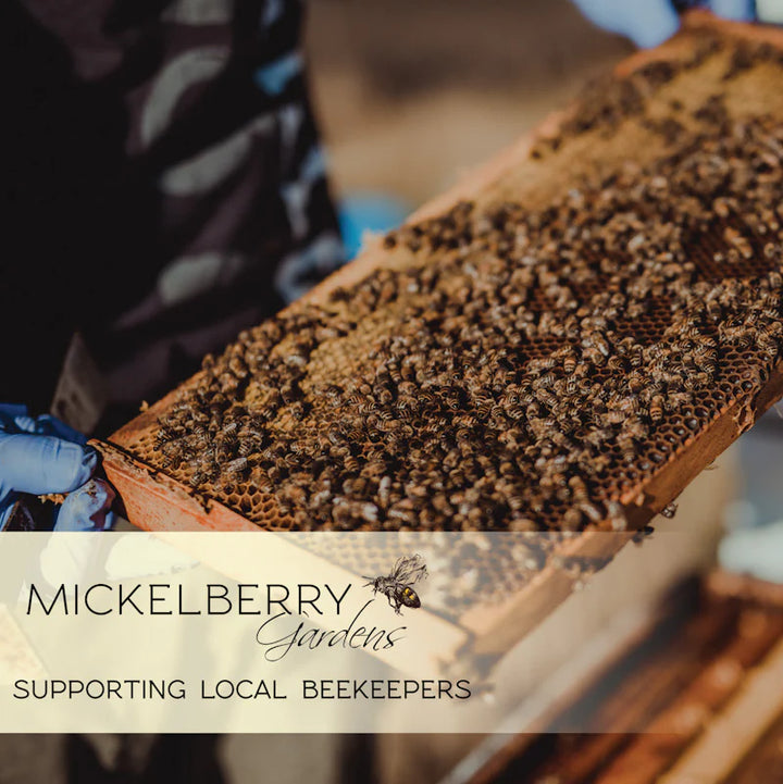 Bee Pollen (6oz)