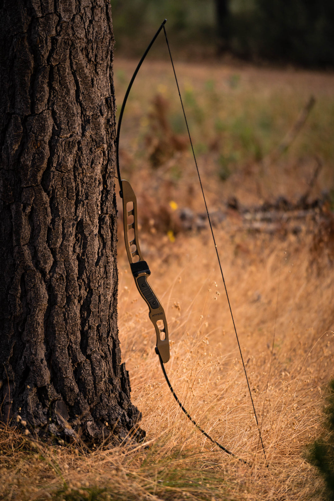 Atmos Compact Takedown Longbow